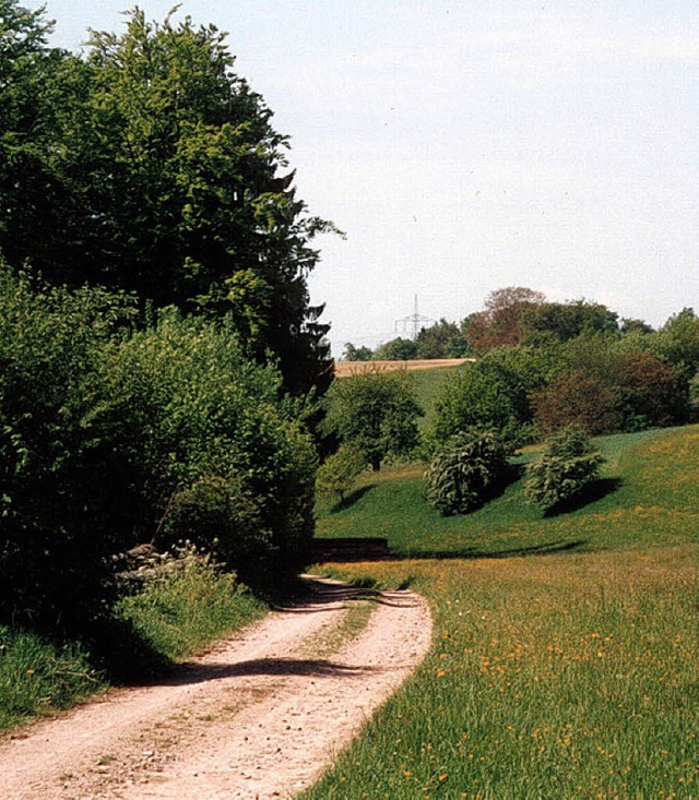 Arbeit fr den knftigen Landschaftser...burgs Gemeinderat auch am Dinkelberg.   | Foto: Privat