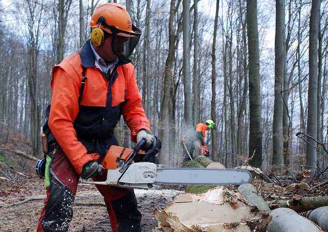 Oskar Rnzi (vorne) und sein Sohn Stef...eilen mit Kettensgen einen Baumstamm.  | Foto: Jannik Schall