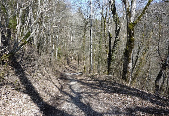 Wandern geht, fahren nicht: der Weg zu...;. Rechts das Schild samt Fahrverbot.   | Foto: K.Scherer