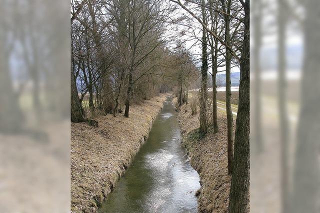 Hgelheimer Biotopvernetzung geniet in Fachkreisen hohes Ansehen