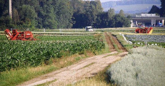 Im Beregnungsgebiet   wird Raymond erw...ist dort kein Platz fr einen Autohof.  | Foto: Lauber