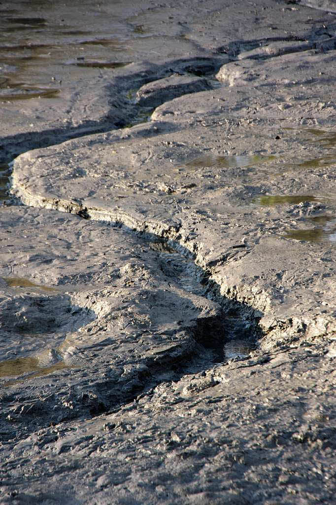 Tückischer Untergrund für schwere Baumaschinen: Im Schlamm des Erleweihers bilden sich regelrechte Miniatur-Canyons. Tückischer Untergrund für schwere Baumaschinen: Im Schlamm des Erleweihers bilden sich regelrechte Miniatur-Canyons.