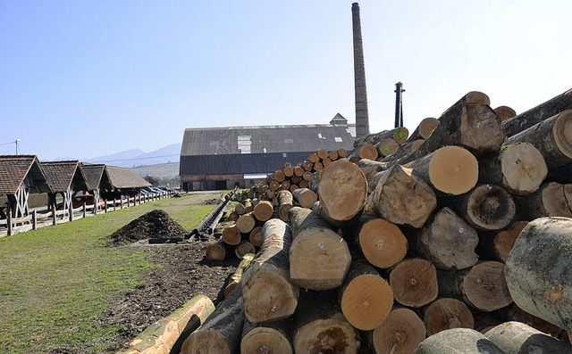 In  der Richtbergsiedlung wird  Holz verarbeitet.   | Foto: Marie-Felicia Natonek