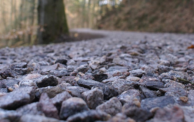 Andelsbachweg wurde fr Holztransport neu geschottert  | Foto: Krug