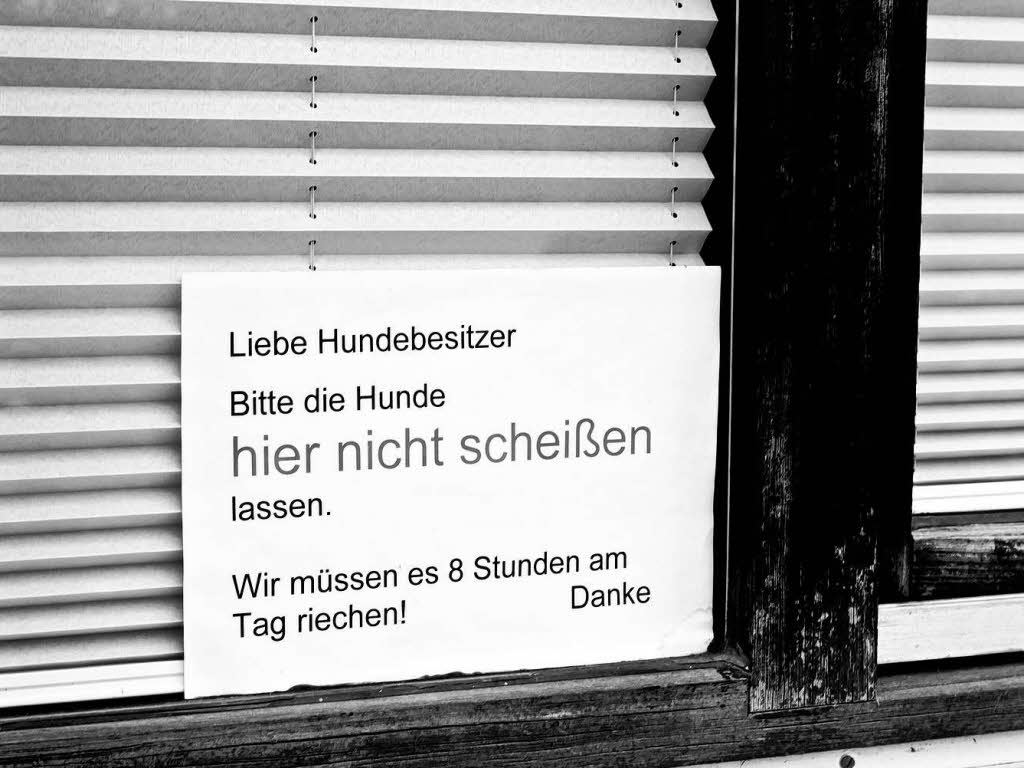 Das Technische Rathaus in Freiburg - ein Campus mit Charakter Das Technische Rathaus in Freiburg - ein Campus mit Charakter
