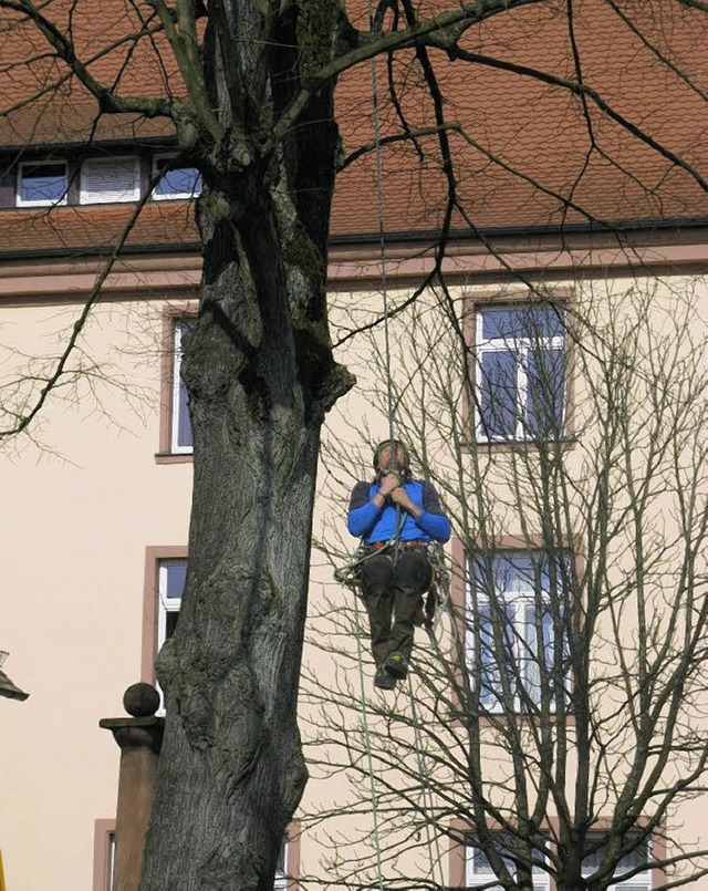   | Foto: Gemeinde Seelbach