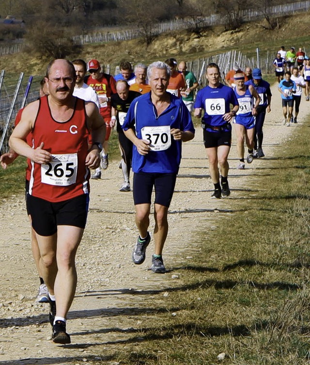 Im frhlingshaften Outfit  durch die Sulzburger Weinberge  | Foto: Stinn