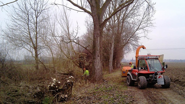 Fr den Frhjahrsputz ist mitunter schon mal schwereres Gert ntig.  | Foto: Stadt BAd Krozingen