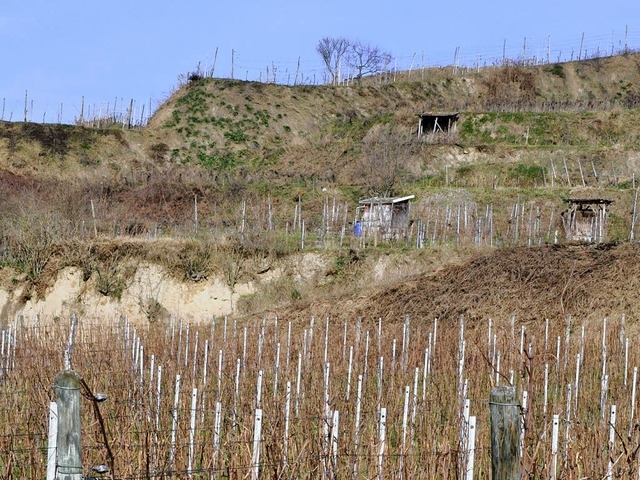 Jetzt wird erst einmal geplant.  2013 ...ger Gewann Schlichten begonnen werden.  | Foto: Kai Kricheldorff