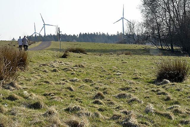 Langenhard: Wie kann die Tier- und Pflanzenwelt langfristig gesichert werden?