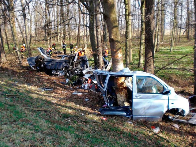 Frmlich in Stcke gerissen wurde der ... einen Baum prallte. Der Fahrer starb.  | Foto: Polizei