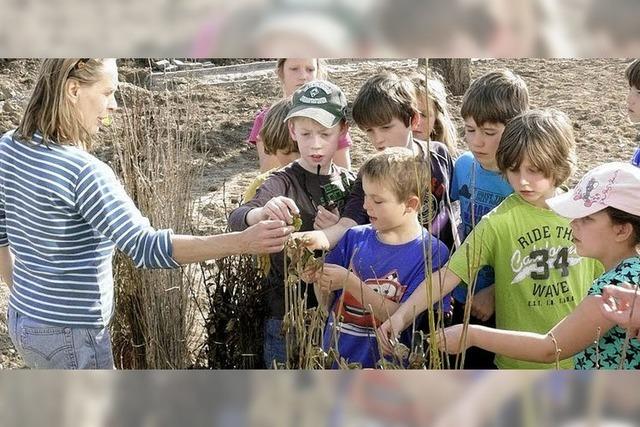 Pflanzaktion bei Schule