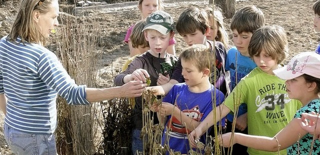 Pflanzaktion im neuen Schulgarten in Sasbach   | Foto: Plenum