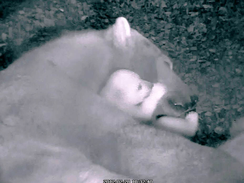 Eine Kamera dokumentiert das Leben in der Mutter-Kind-Hhle.