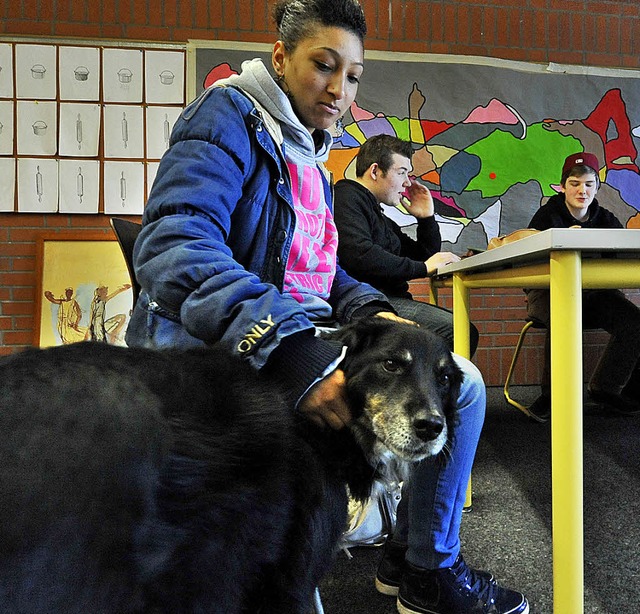 Schulhund Lexa sorgt fr entspannte Stimmung.   | Foto: Michael Bamberger