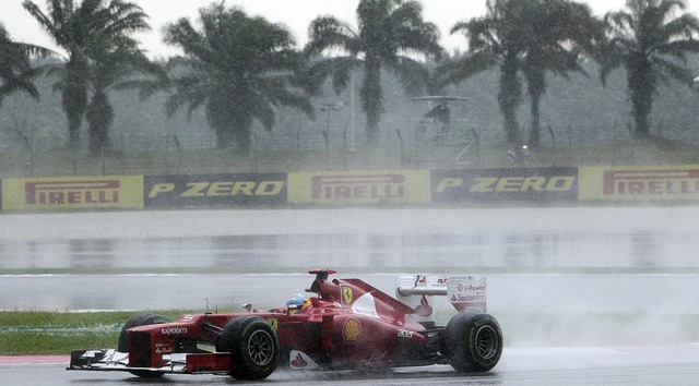 Im Regen unter Palmen: Fernando Alonso...Fhrung in der WM-Wertung bernommen.   | Foto: dapd