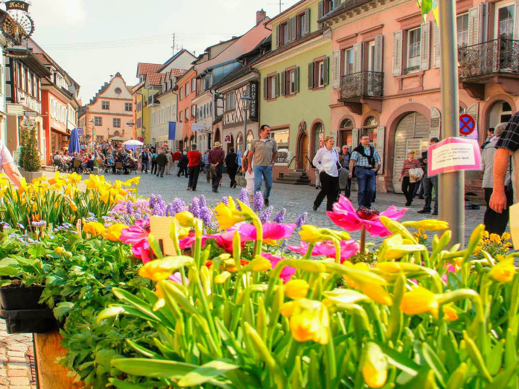 Ein buntes Bild bot die Endinger Innenstadt beim Bltensonntag.