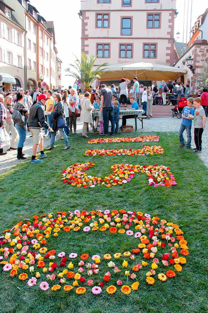 Bltensonntag in Endingen: Immer dichter wurde die Zahl 1150 – ein Hinweis aufs Stadtjubilum – auf dem Rollrasen am Marktplatz