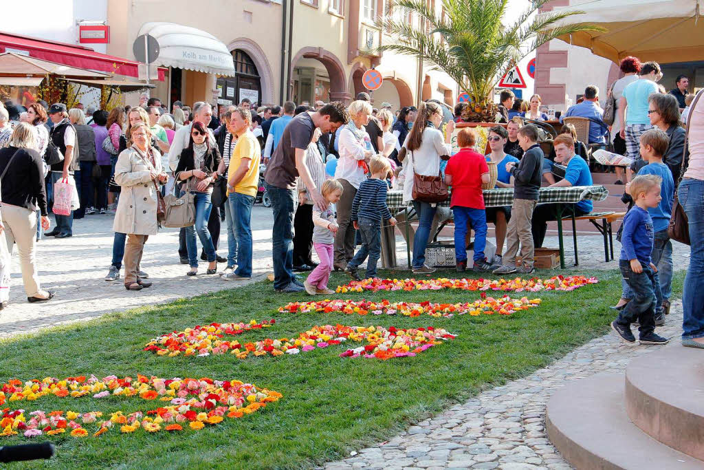 Bltensonntag in Endingen: Immer dichter wurde die Zahl 1150 – ein Hinweis aufs Stadtjubilum – auf dem Rollrasen am Marktplatz