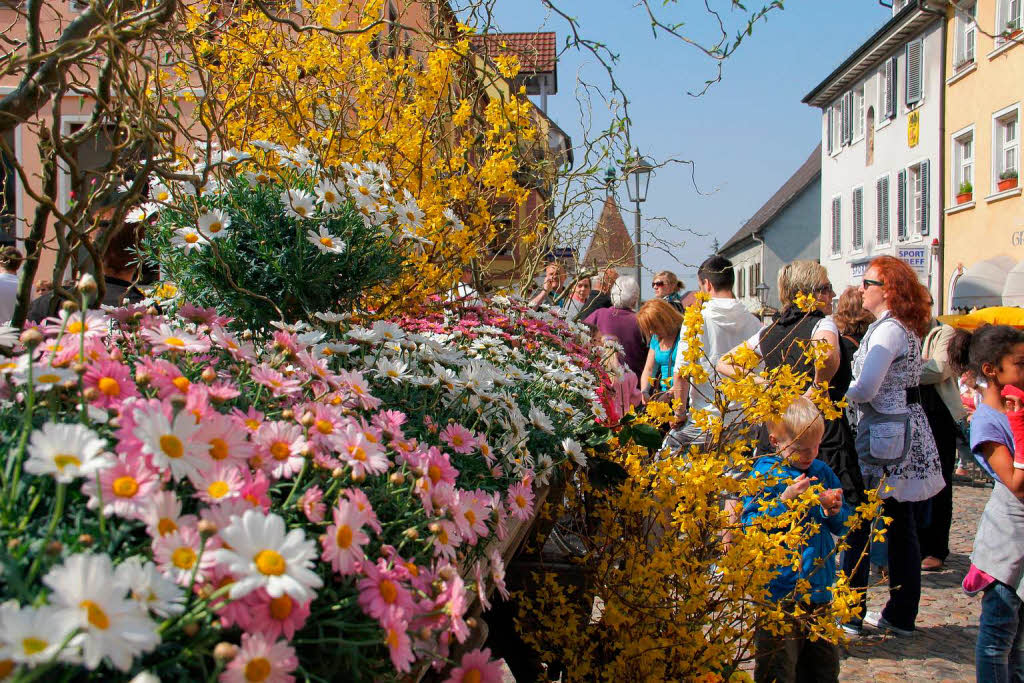 Bltensonntag in Endingen: Auch die Brunnen in der Innenstadt waren passend dekoriert.