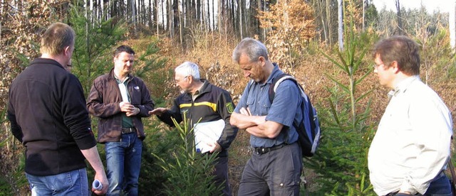 Ortstermin mit dem Gemeinderat im Murg...rmeister Adrian Schmidle (von rechts)   | Foto: Stefan sahli