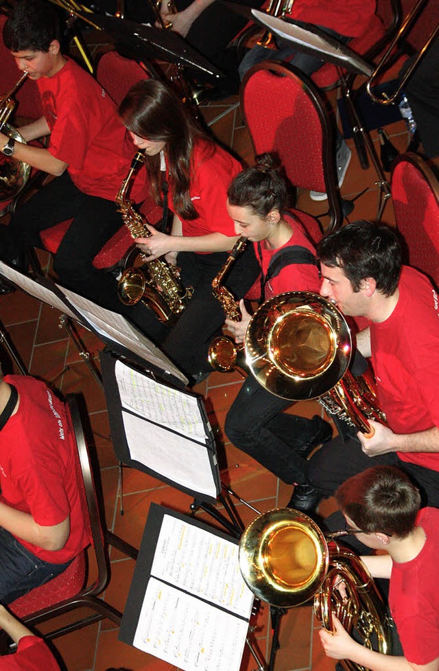 Die Stadtmusik Breisach, wie auch das ...ne Zeitreise durch die Welt der Musik.  | Foto: Christine Aniol