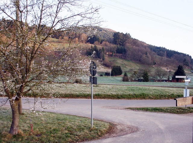 Der Rebberg droht zuzuwachsen und ist ...rhaltungsverband aktiv werden knnte.   | Foto: theo weber