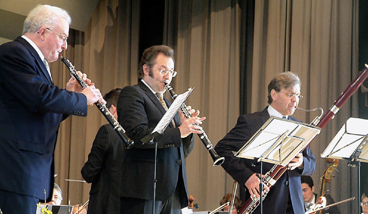 Die Solisten des Philharmonischen Orchesters Riehen   | Foto: Roswitha Frey