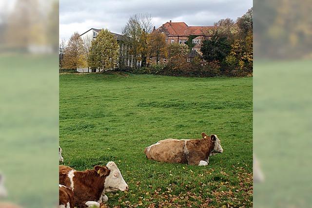 kologischer Landbau bietet Chancen