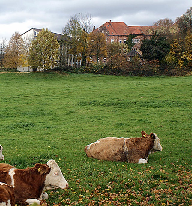 Kreistag und Kreisverwaltung unterstt...um kologischer Landbau  einzurichten.  | Foto: hans-jrgen trul