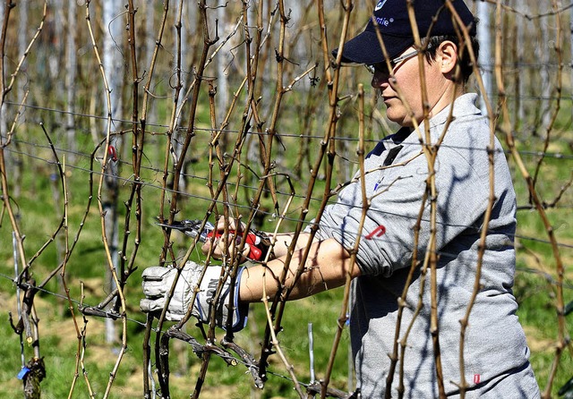 Nancy Edlich vom Merdinger Weingut Kal...ittsmarke ihre Marktposition strken.  | Foto: Ingo Schneider