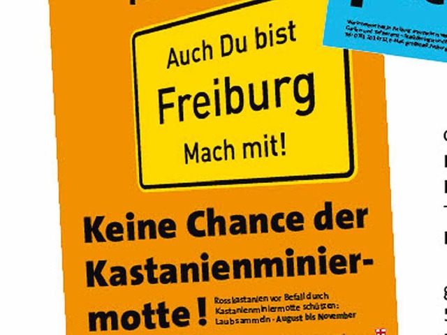 Die Staudinger-Schler beteiligten sich an der Aktion der Stadt Freiburg.  | Foto: Stadt Freiburg