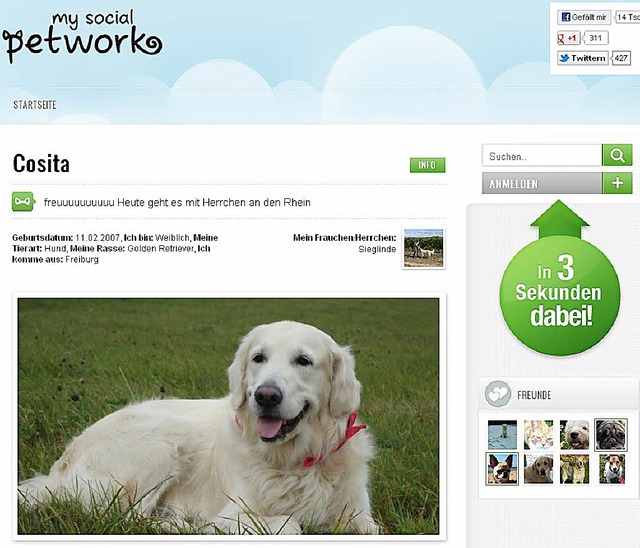 Auch Cosita, Golden Retriever aus Freiburg, ist dabei  | Foto: Screenshot: BZ