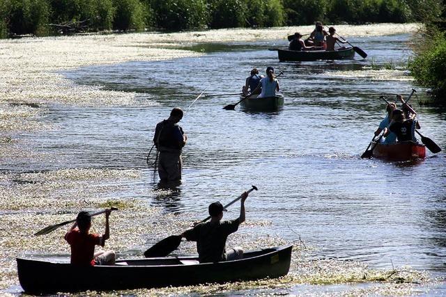 Vom 16. Mai bis 31. Juli dürfen keine Kanus auf die Donau