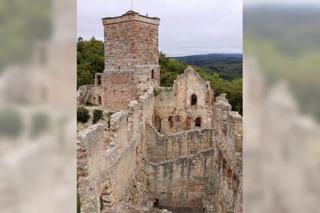 Burgen, Schlösser und Ruinen in der Region