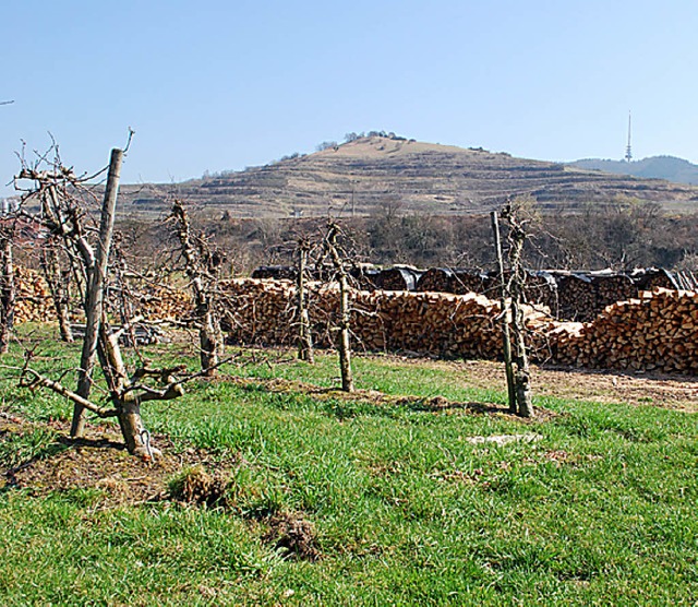 Schtzenswerte Landschaft am Kaiserstuhl   | Foto: benjamin bohn