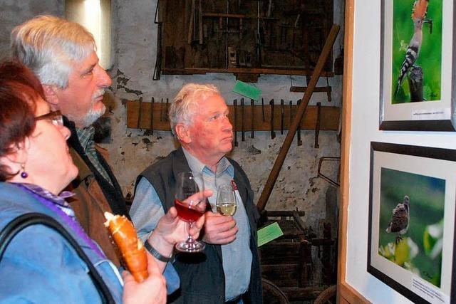 Weinbaumuseum lockt mit lebendigen Bildern von Kaisersthler Vgeln