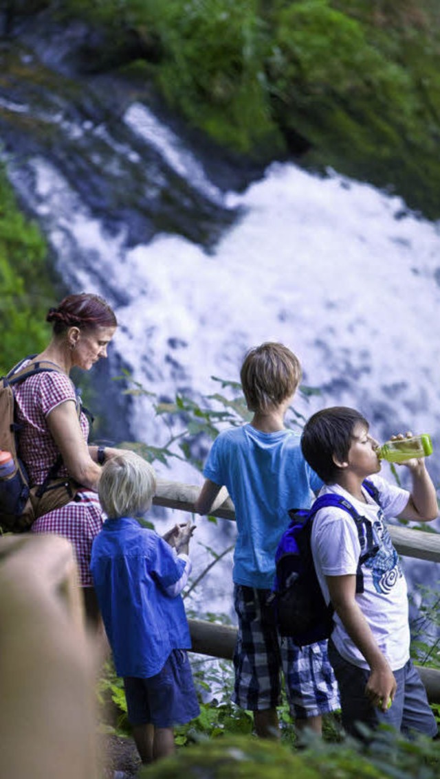 Triberger Wasserfall  | Foto: anfe