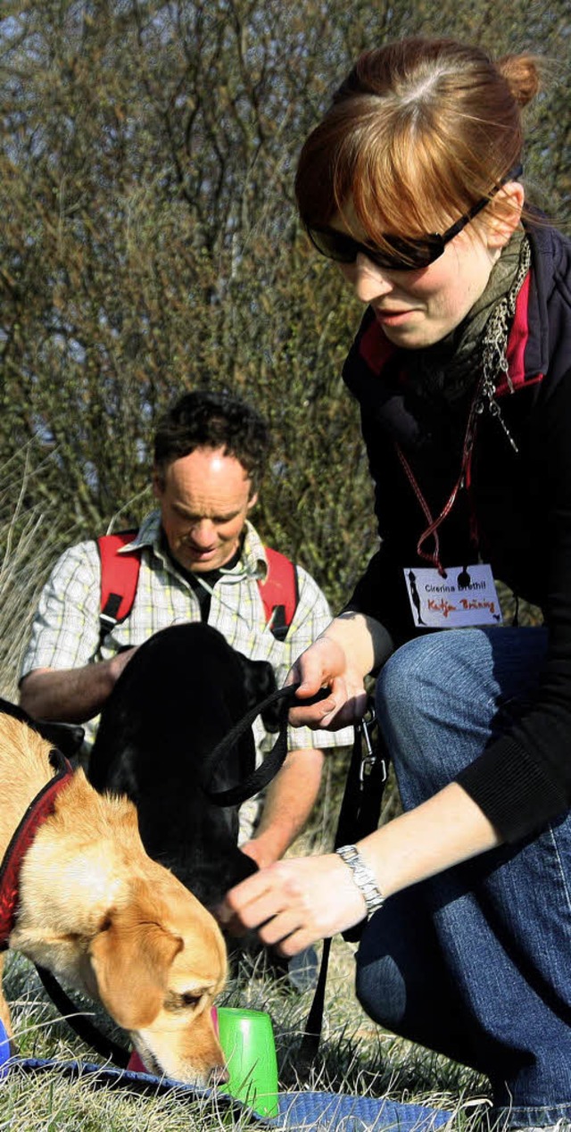 Die Wanderung am Kaiserstuhl hat Frauchen, Herrchen und Hunde herausgefordert.   | Foto: Silvia Faller