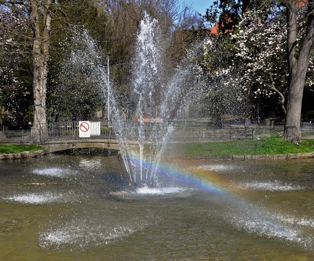 Fontne im Zwingerpark wieder in  Betrieb  | Foto: Ralf Burgmaier