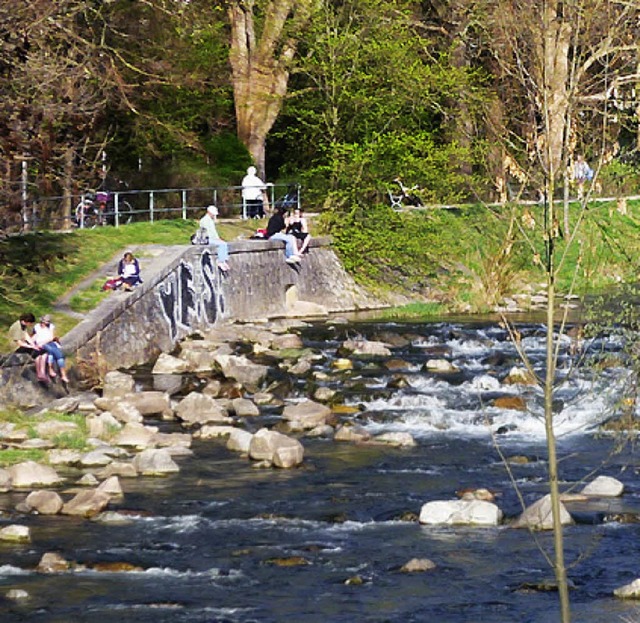 Dreisam, Freiburg  | Foto: Eyp Ertan