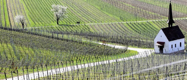 Frhling bei Jechtingen  | Foto: Siegfried Gollrad