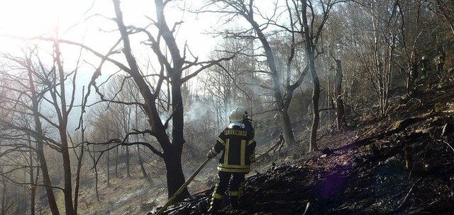 Die Feuerwehr  wurde  zu einem Flchen... iml Trnklesgrund in Yach alarmiert.   | Foto: Feuerwehr/Guido Schultis