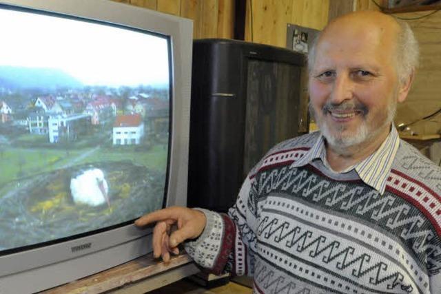 Storcheneier im Osternest