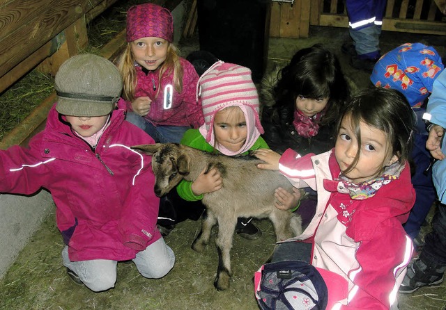 Kinderinsel Feldberg besucht Geienhof...n Feldbergern begeistert begutachtet.   | Foto: Tina Httich