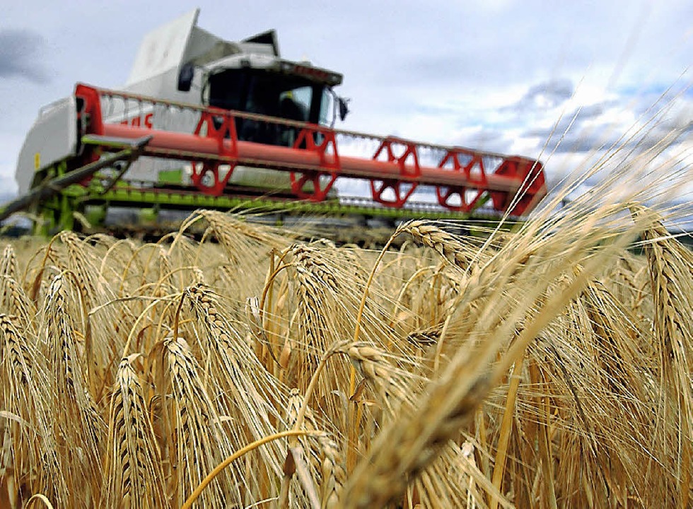 Landwirtschaft fühlt sich doppelt bestraft - Südwest - Badische Zeitung