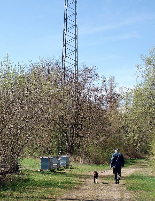 Spaziergnger finden im Schutzgebiet Entspannung.  | Foto: Steineck