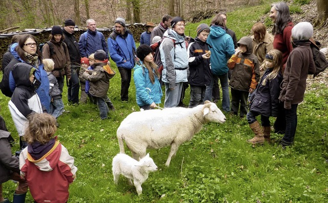 Bei der Fhrung auf der Schelinger Vie...e kamen sich Tiere und Menschen nher.  | Foto: privat