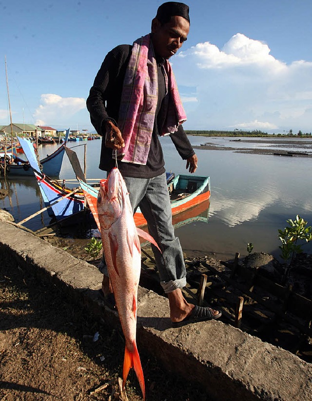 Die See ist ruhig, doch die Fischer in...afen &#8211; aus Angst vor Nachbeben.   | Foto: AFP
