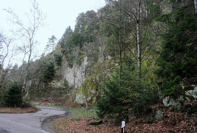 Im Kohlenwald will die Firma Hauri obe...en Steinbruchs Quarzporphyr abbauen.   | Foto: theo weber